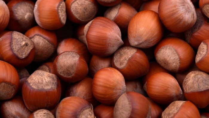 Orzech laskowy 0,5 od p. Adamczyka