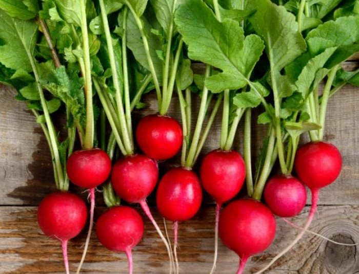 Rzodkiewka EKO od Adamczyka