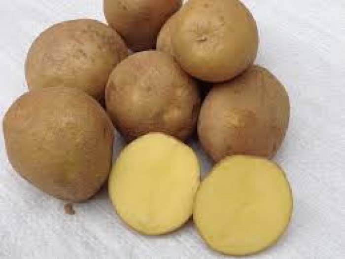  Ziemniaki EKO 10kg   od p. Adamczyka 