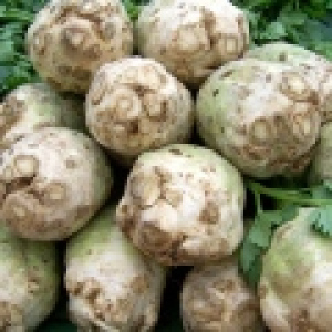 Seler eko od p. Drypa