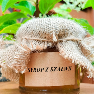 Syrop z szałwi lekarskiej od p.Zych