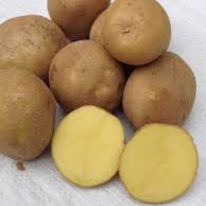  Ziemniaki EKO 10kg   od p. Adamczyka 