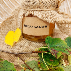 Syrop z szałwi lekarskiej od p.Zych